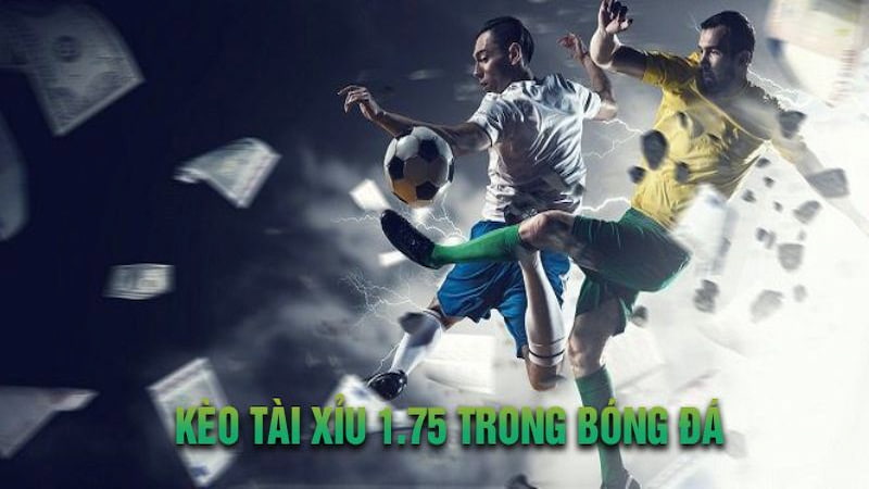 Kèo cược tài xỉu 1.75